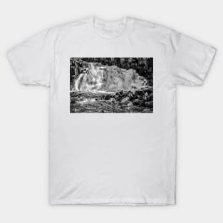 Cauldron Snout - Black and White T-Shirt